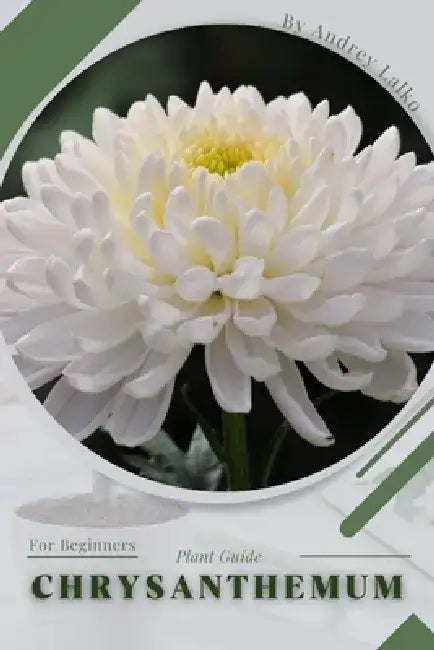 Chrysanthemum: Plant Guide by Andrey Lalko