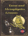 Tarot and Metaphysics Lessons by Alina a. Rubi