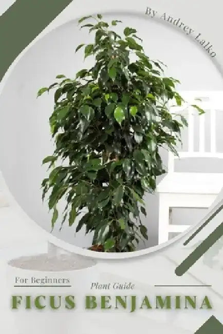 Ficus Benjamina: Plant Guide by Andrey Lalko