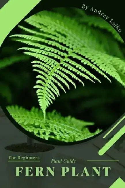 Fern Plant: Plant Guide by Andrey Lalko