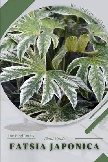 Fatsia japonica: Plant Guide by Andrey Lalko