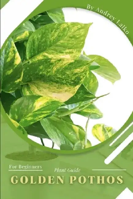 Golden Pothos: Plant Guide by Andrey Lalko