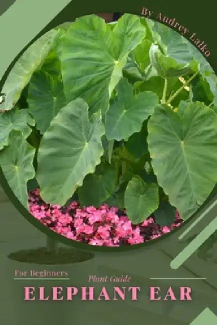 Elephant Ear: Plant Guide by Andrey Lalko