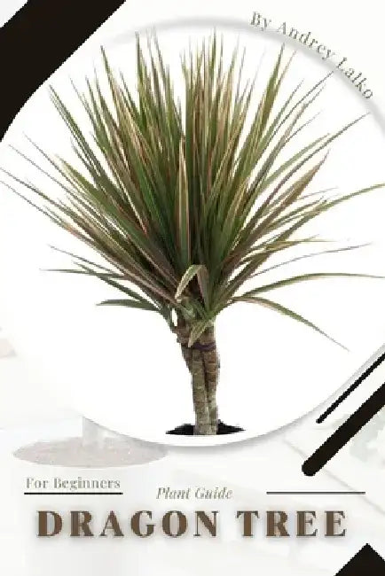Dragon Tree: Plant Guide by Andrey Lalko
