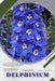 Delphinium: Plant Guide by Andrey Lalko