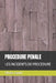Procedure Penale: Les Incidents de Procedure by Olivier Randri