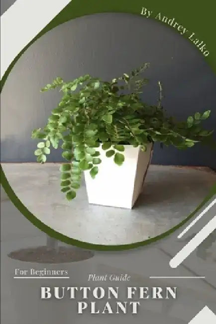 button fern plant: Plant Guide by Andrey Lalko
