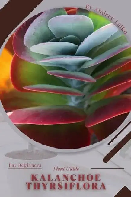 Kalanchoe thyrsiflora: Plant Guide by Andrey Lalko