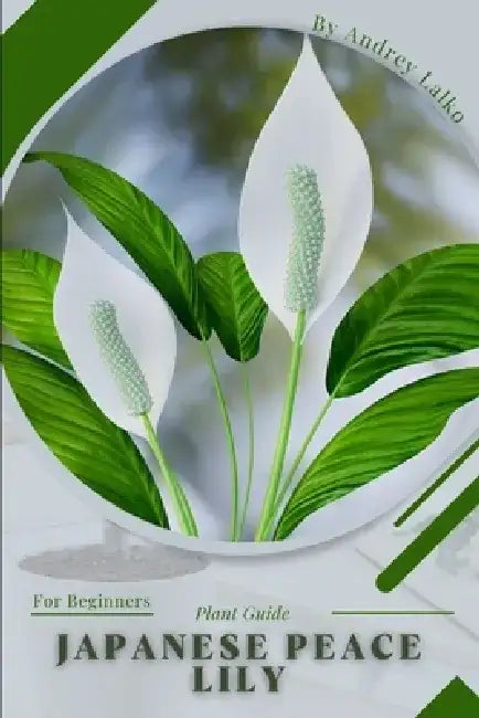 Japanese Peace Lily: Plant Guide by Andrey Lalko