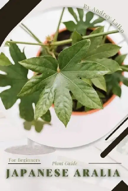 Japanese Aralia: Plant Guide by Andrey Lalko