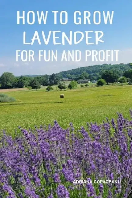 How to Grow Lavender for Fun and Profit: Lessons Learned from Planting Three Hundred Lavender Plants by Adriana Copaceanu