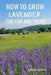 How to Grow Lavender for Fun and Profit: Lessons Learned from Planting Three Hundred Lavender Plants by Adriana Copaceanu
