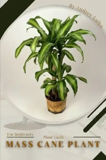 Mass Cane Plant: Plant Guide by Andrey Lalko