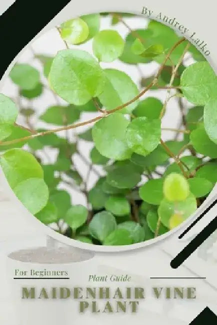 Maidenhair Vine Plant: Plant Guide by Andrey Lalko