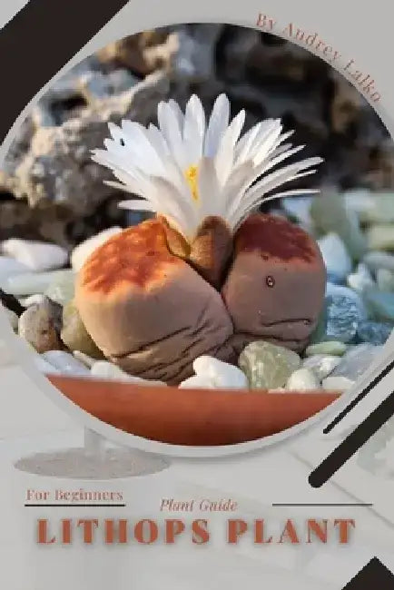 Lithops Plant: Plant Guide by Andrey Lalko