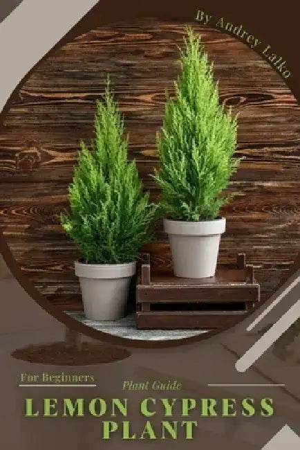 Lemon Cypress Plant: Plant Guide by Andrey Lalko