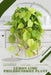 Lemon Lime Philodendron Plant: Plant Guide by Andrey Lalko