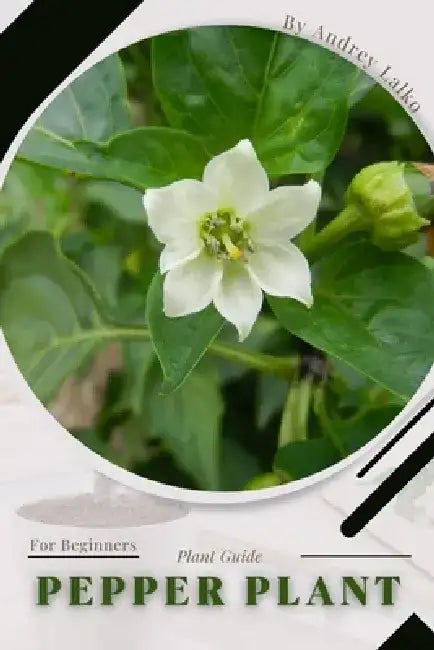 Pepper Plant: Plant Guide by Andrey Lalko