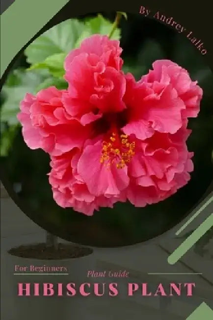 Hibiscus Plant: Plant Guide by Andrey Lalko