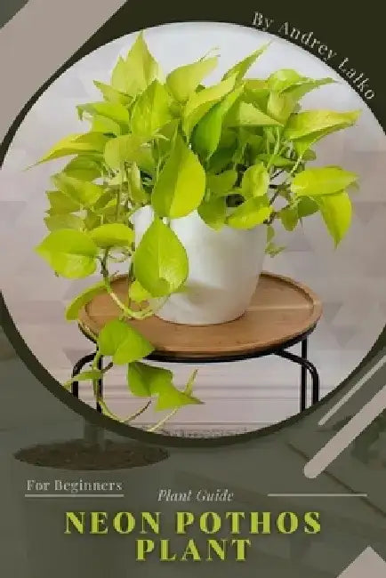 Neon Pothos Plant: Plant Guide by Andrey Lalko