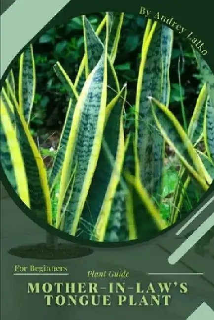 Mother-in-law's Tongue Plant: Plant Guide by Andrey Lalko