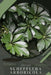 Schefflera arboricola: Plant Guide by Andrey Lalko