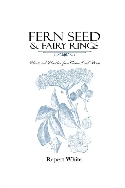 Fern Seed  Fairy Rings