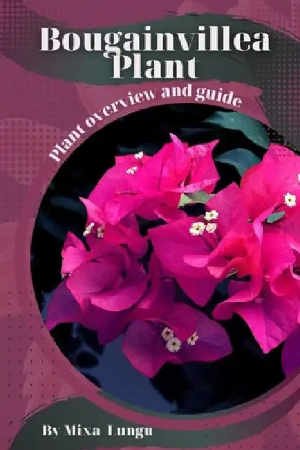 Bougainvillea Plant: Plant overview and guide by Mixa Lungu