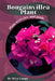 Bougainvillea Plant: Plant overview and guide by Mixa Lungu