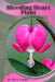 Bleeding Heart Plant: Plant overview and guide by Mixa Lungu