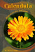 Calendula: Plant overview and guide by Mixa Lungu