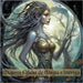 Mujeres Élficas de Magia e Intriga: vol 1 by Blackwood, Asher