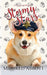 Stormy Stars by Mildred Abbott
