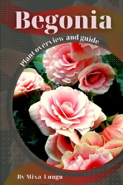 Begonia: Plant overview and guide by Mixa Lungu