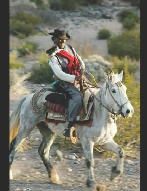 refugio afghan by Gene Dwarkin