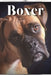 Boxer: Dog breed overview and guide by Nina Pustova