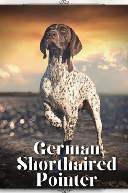 German Shorthaired Pointer: Dog breed overview and guide by Nina Pustova