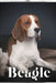 Beagle: Dog breed overview and guide by Nina Pustova