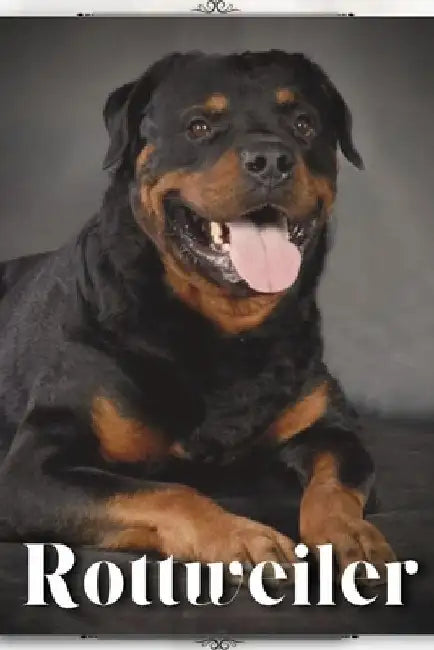 Rottweiler: Dog breed overview and guide by Nina Pustova