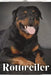 Rottweiler: Dog breed overview and guide by Nina Pustova