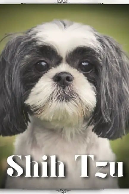 Shih Tzu: Dog breed overview and guide by Nina Pustova