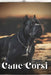 Cane Corsi: Dog breed overview and guide by Nina Pustova