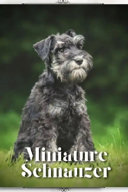 Miniature Schnauzer: Dog breed overview and guide by Nina Pustova