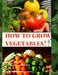How to Grow Vegetables by Okongor Ndifon