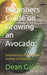 Beginners Guide on Growing an Avocado: Determining the Suitable Variety of Avocado by Dean Gaius