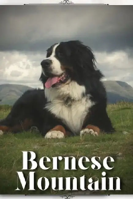 Bernese Mountain: Dog breed overview and guide by Nina Pustova