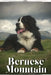 Bernese Mountain: Dog breed overview and guide by Nina Pustova