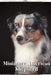 Miniature American Shepherd: Dog breed overview and guide by Nina Pustova