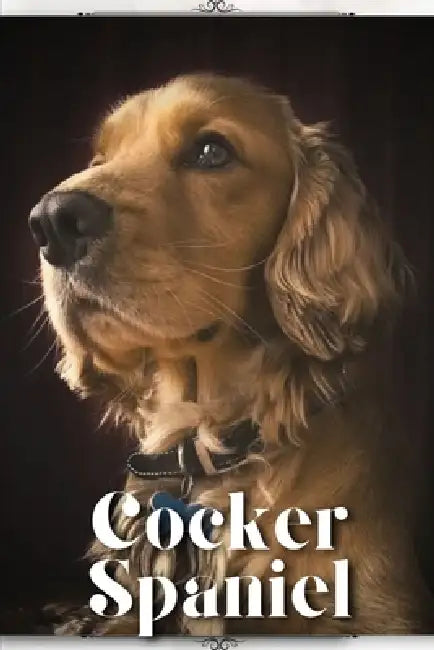 Cocker Spaniel: Dog breed overview and guide by Nina Pustova