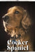 Cocker Spaniel: Dog breed overview and guide by Nina Pustova
